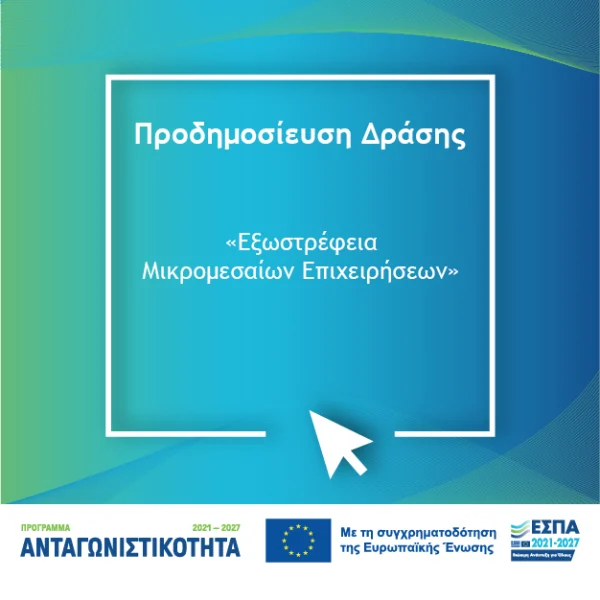 Εξωστρέφεια Μικρομεσαίων Επιχειρήσεων